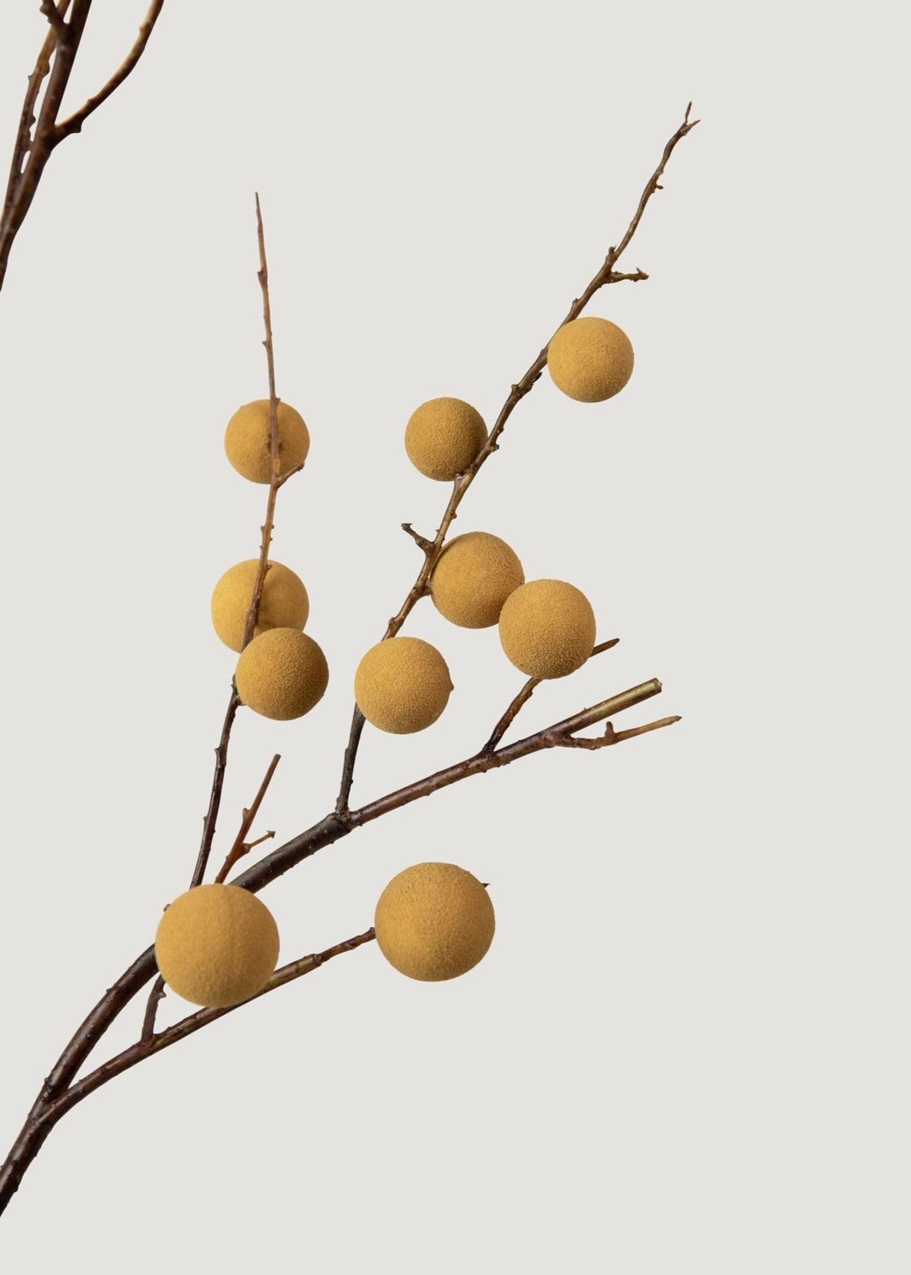 Artificial Longan Branch - 39"