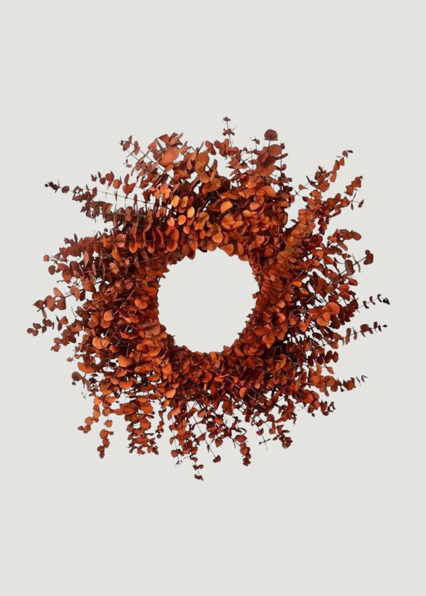 Preserved Eucalyptus Wreath in Fall Orange Hue - 22"