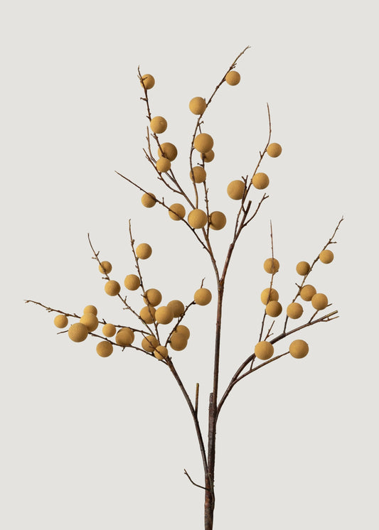 The Ultimate Guide to Fall Stems & Branches