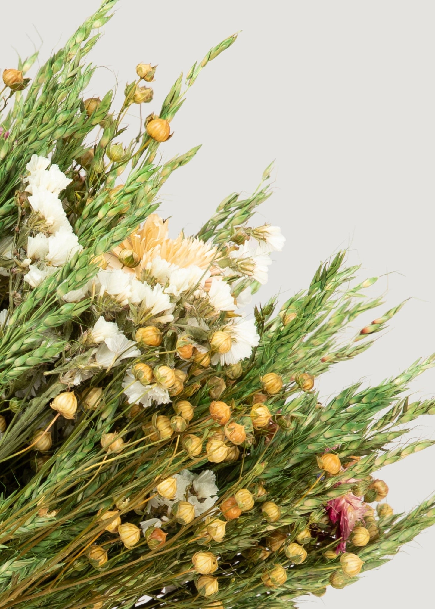Mixed Dried Flower Bouquet of Flax and Fuchsia Strawflowers - 18"