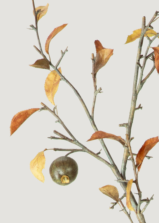 Case of 36 - Premium Tall Artificial Fall Quince Branch with Fruit - 57"