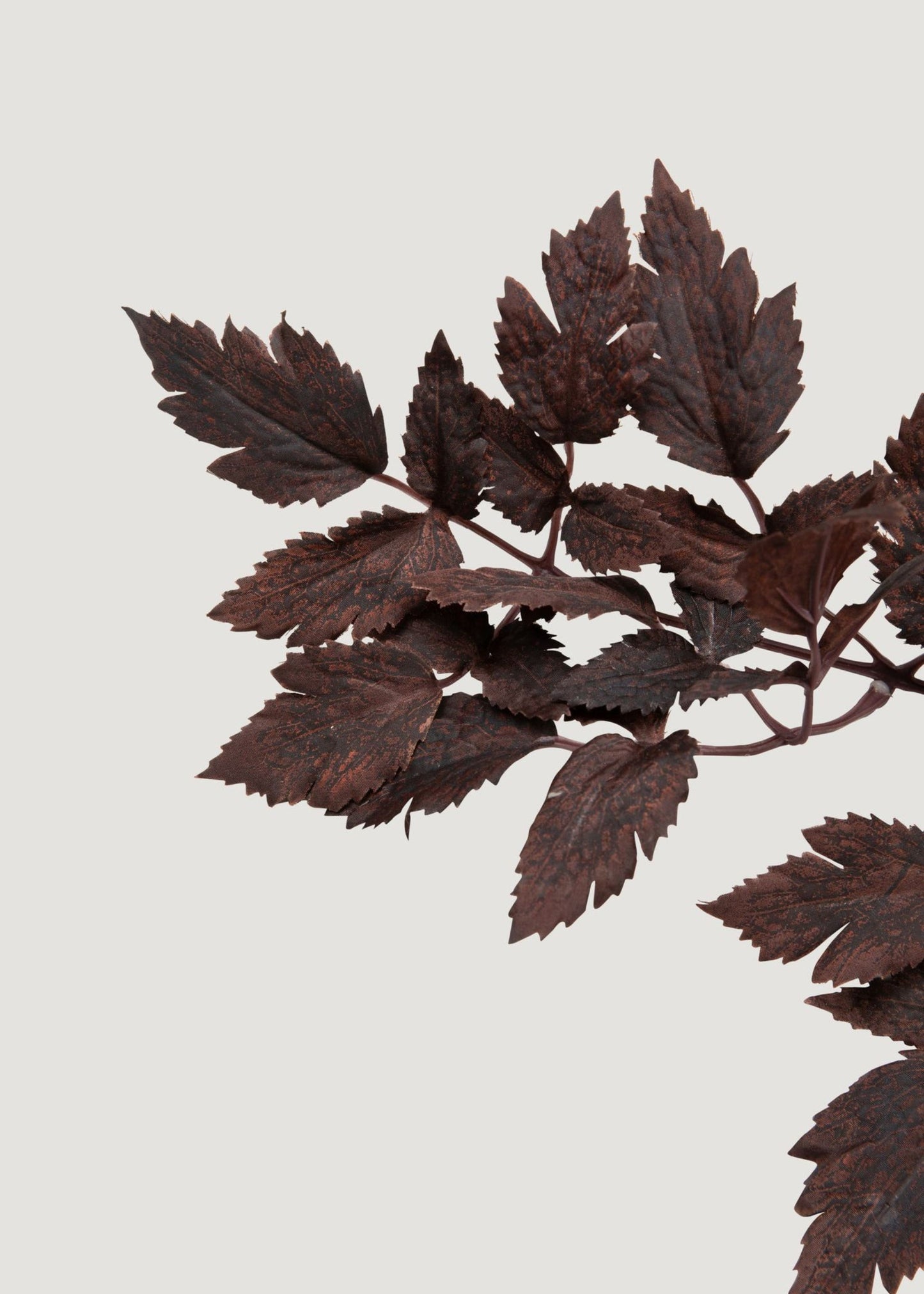 SALE - Plum Fake Cimicifuga Ramosa Leaves - 31"