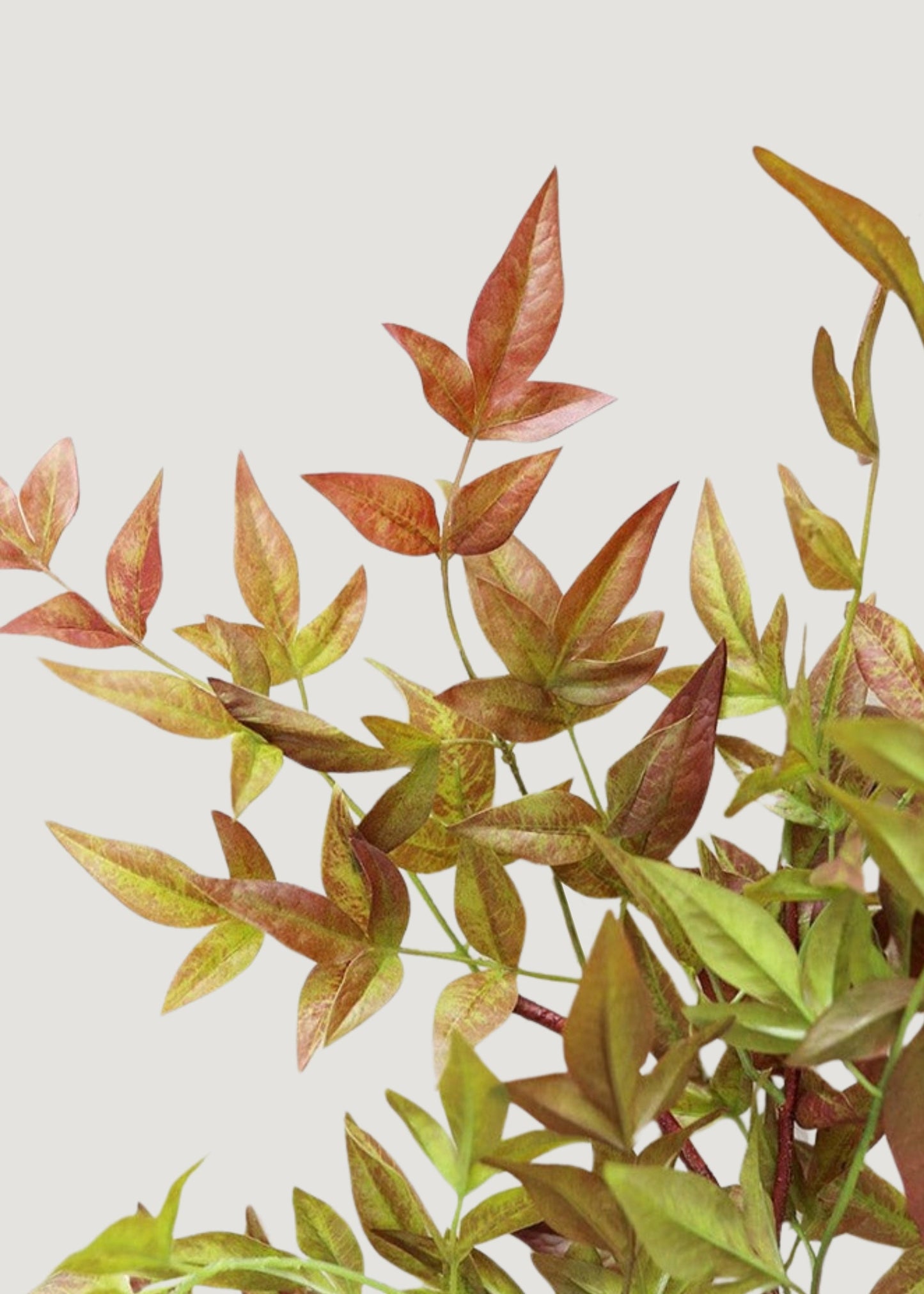 Artificial Nandina Leaf Branch - 39"