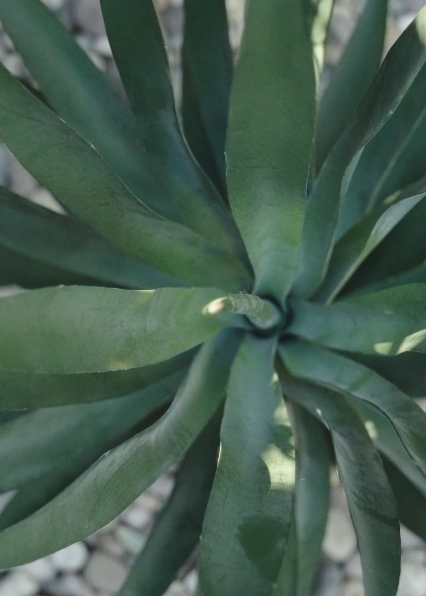 UV Resistant Artificial Outdoor Yucca Plant - 27"