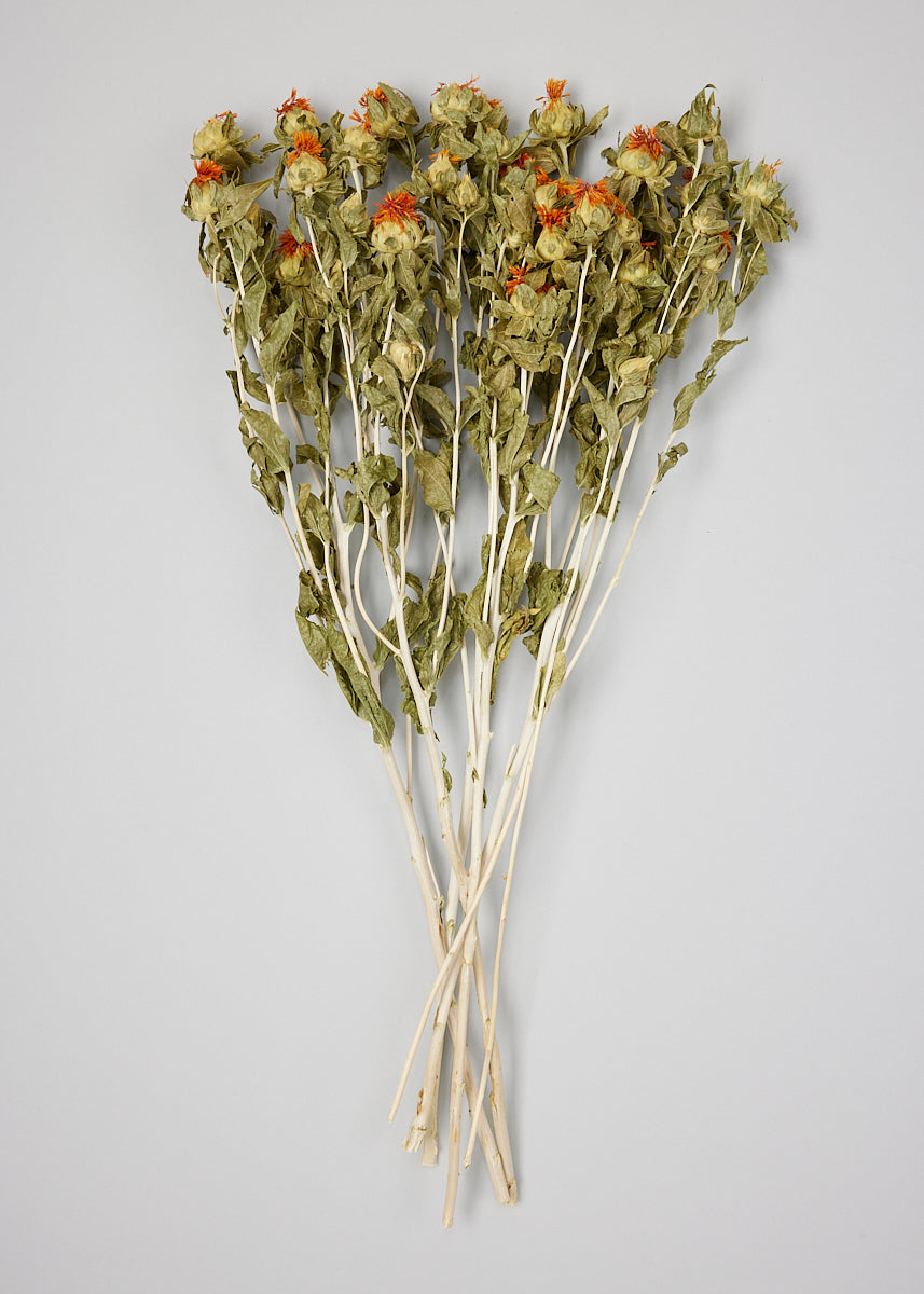 Dried Flowers Natural Orange Safflower - 18-25"