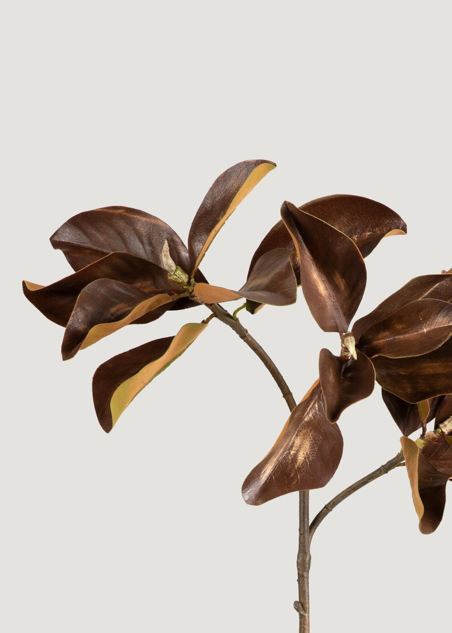 Warm Brown Fake Magnolia Leaf Branch - 38.5"