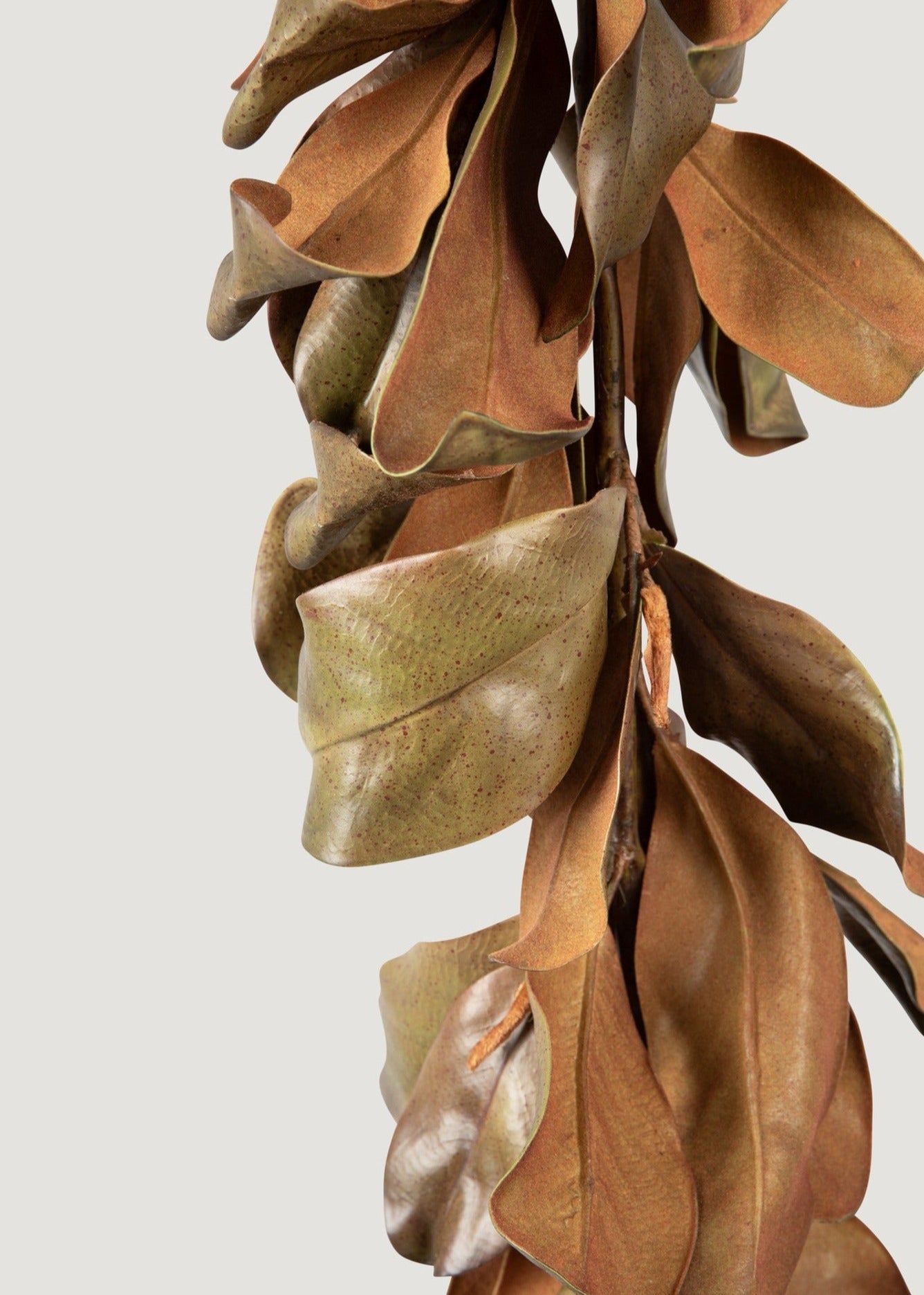 Deluxe Natural Touch Faux Magnolia Leaf Garland in Aged Brown- 79.5"