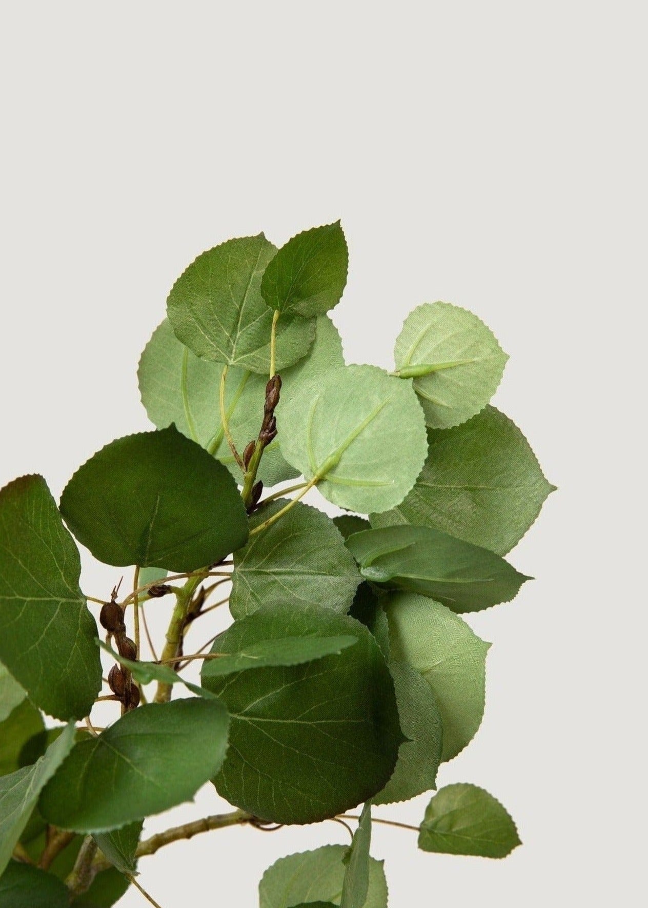 Premium Tall Artificial Aspen Branch - 51"