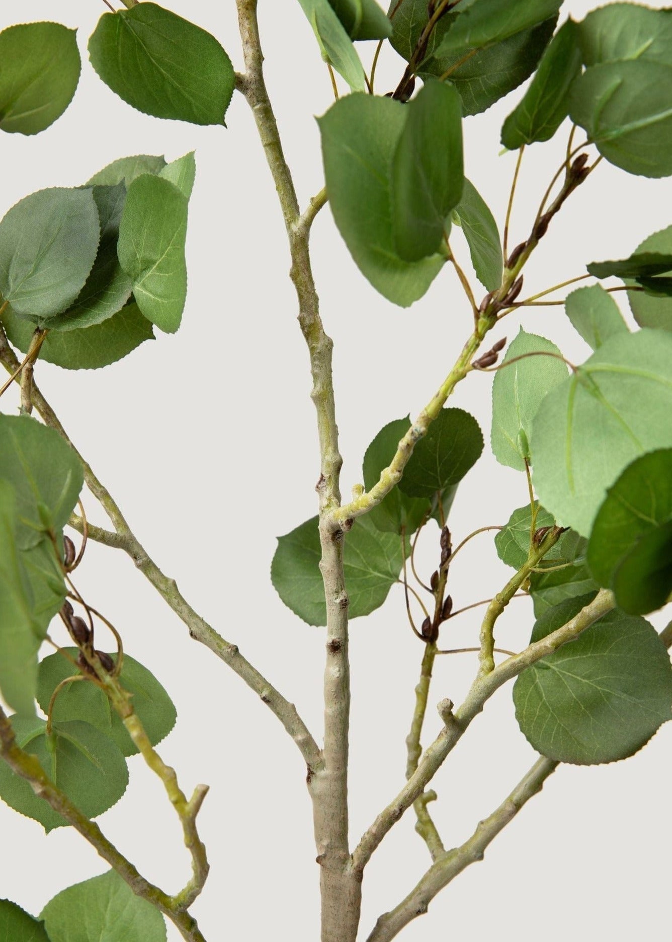 Premium Tall Artificial Aspen Branch - 51"