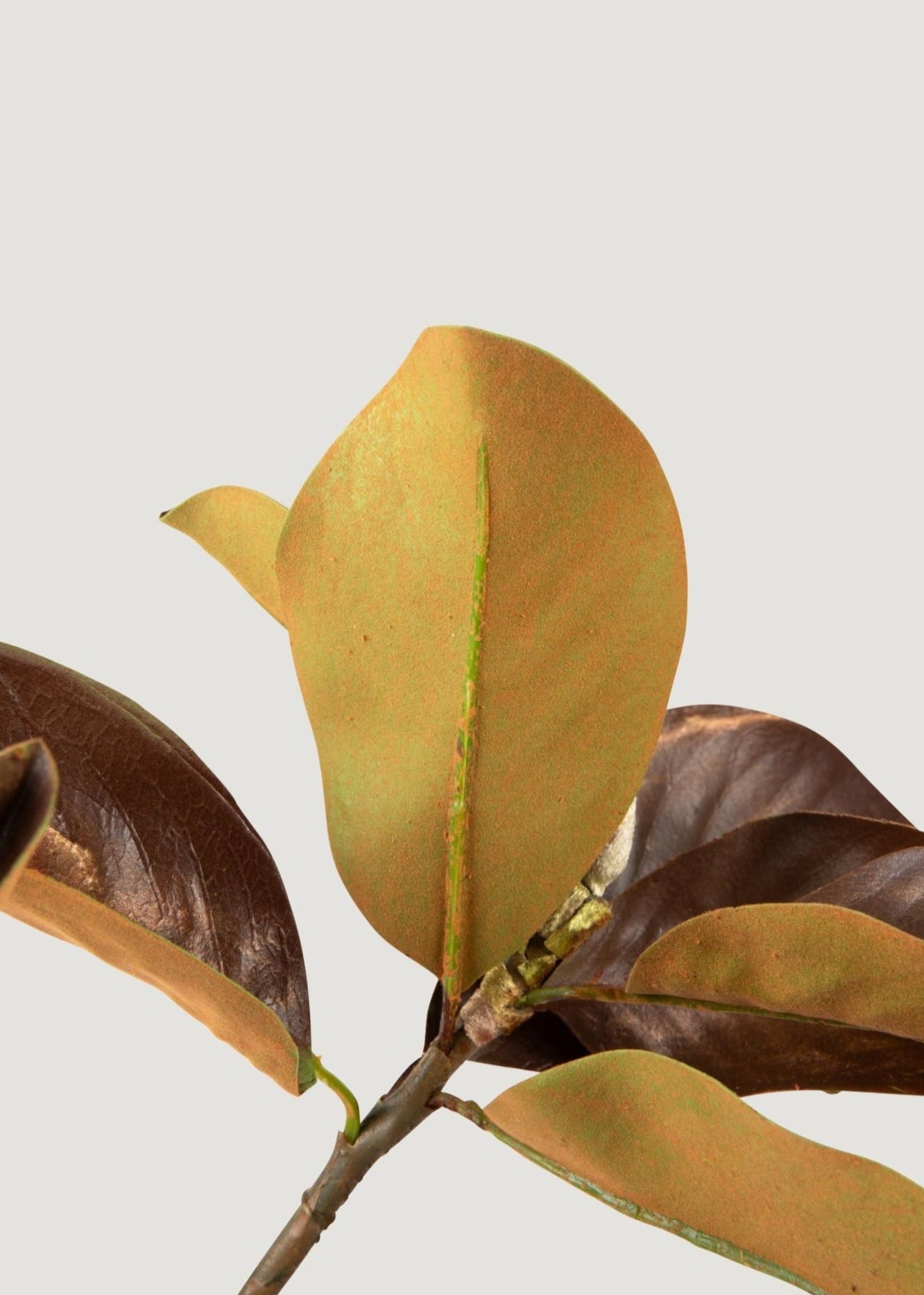 Warm Brown Fake Magnolia Leaf Branch - 38.5"