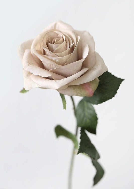 Artificial Flowers Rose in Taupe Beige - 21.5"