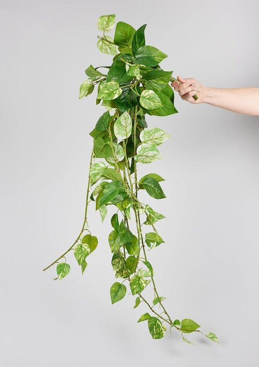 Natural Touch Pothos Artificial Plant - 48"
