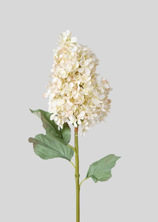 Large Deluxe Faux Dried Cone Hydrangea in Parchment