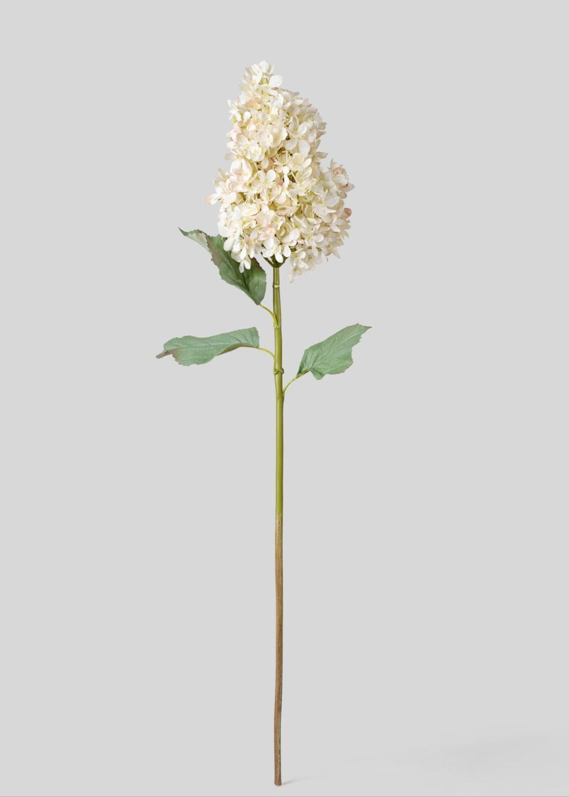 Large Deluxe Faux Dried Cone Hydrangea in Parchment