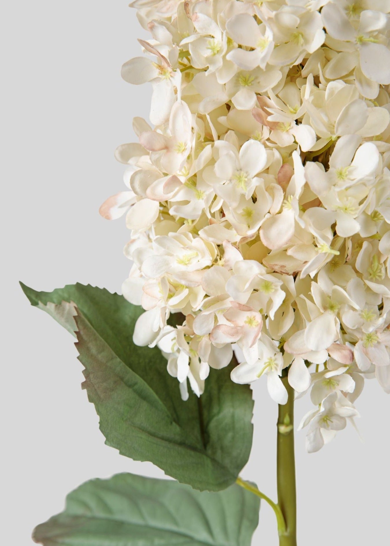 Large Deluxe Faux Dried Cone Hydrangea in Parchment